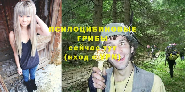 ALPHA PVP Алексеевка